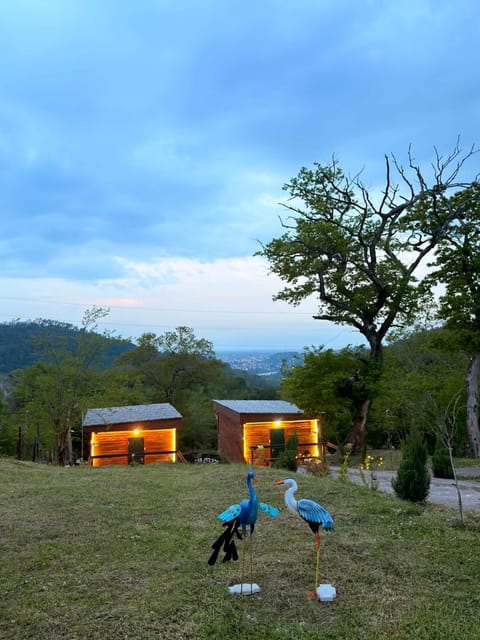 Spring, Day, Garden, Garden view, Mountain view