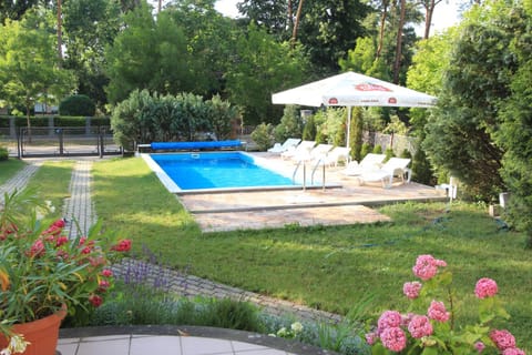 Pool view, Swimming pool