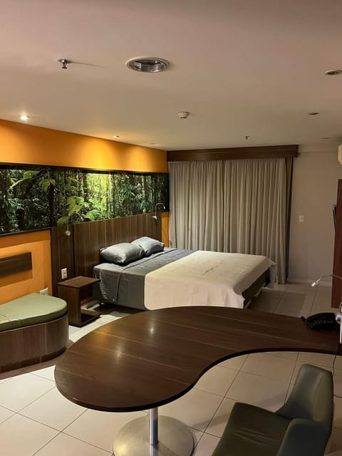 Flat Studio Conforto do 9 Andar Apartment in Rio de Janeiro