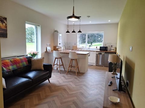 Kitchen or kitchenette, Living room, Dining area, minibar, stove
