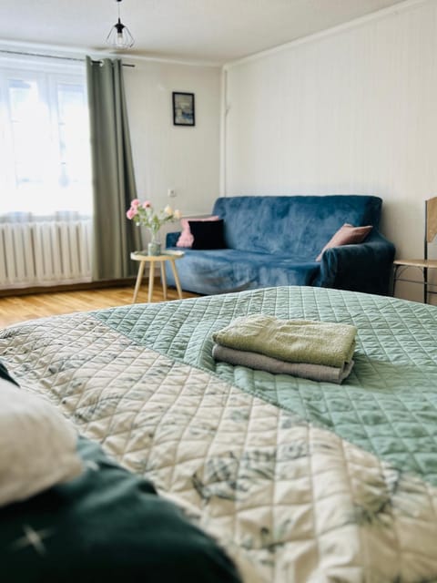 Bed, Living room, Photo of the whole room, Seating area, Bedroom
