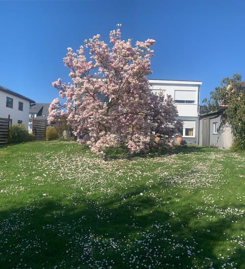 Property building, Garden, Garden view