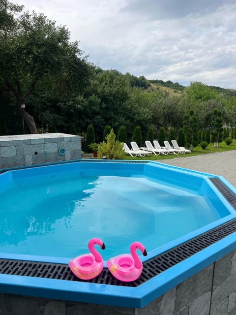Day, Natural landscape, Mountain view, Pool view, Swimming pool, sunbed