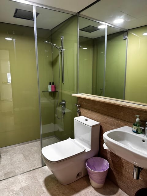 Shower, Toilet, Bathroom, bidet