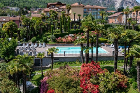 Garden, Garden view, Swimming pool