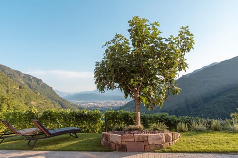 Property building, Garden view