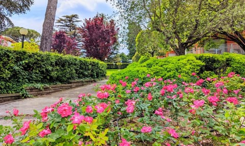 Stay with us - BookingPeschiera Apartment in Peschiera del Garda