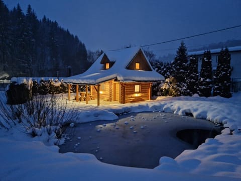 Property building, Natural landscape, Winter