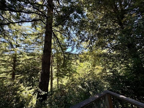 Cedar Valley Lodge House in Oregon