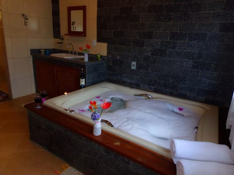 Pousada Canário Da Terra Inn in Visconde de Mauá