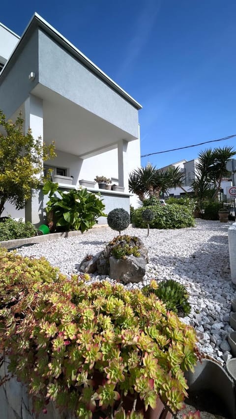 Property building, Garden view