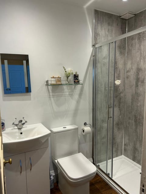 Beautiful town-flat with character - Bridge street Apartment in Hereford