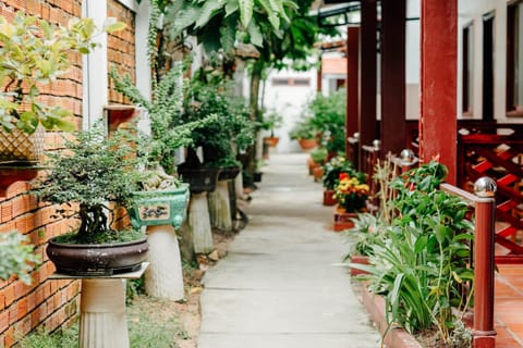 Patio, Balcony/Terrace, Balcony/Terrace