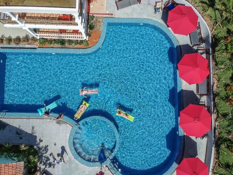 Garden, Swimming pool