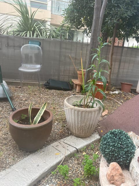 Sacré cœur Apartment in Ajaccio