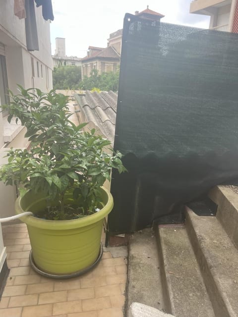 Sacré cœur Apartment in Ajaccio