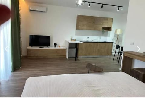 Bed, TV and multimedia, Kitchen or kitchenette, Bedroom