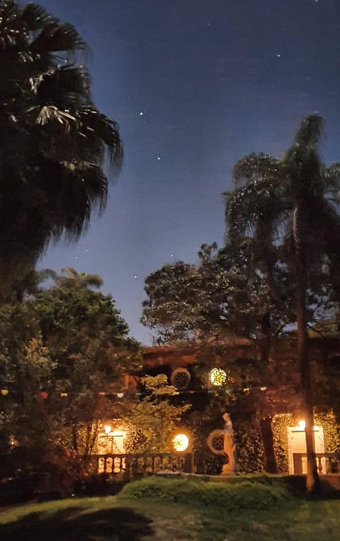 Night, Garden, Garden view