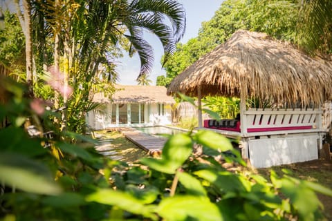 Day, Natural landscape, Garden, Garden view, Swimming pool