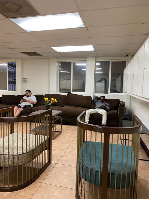 Living room, Seating area, group of guests