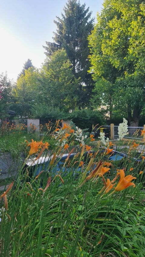 Spring, Day, Garden, Garden view