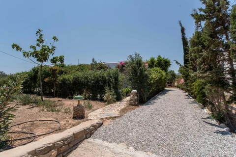 Green Retreat Studios Apartment in Paros, Greece