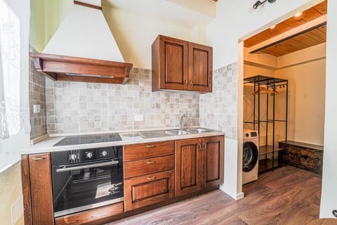 Diana 1 Apartment the Green Zone of Florence Apartment in Florence