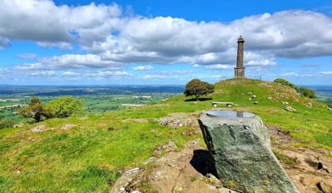 Honey Bee Cottage Tiny House Welshpool House in Welshpool