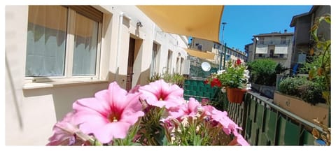 Neighbourhood, Balcony/Terrace, Street view