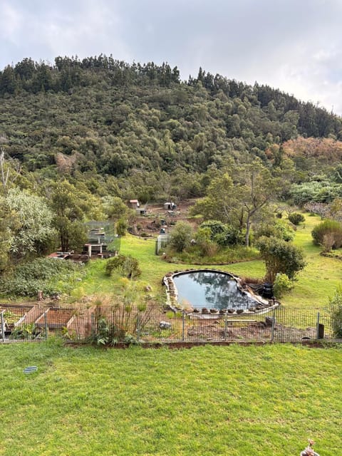 Natural landscape, Garden, Garden view, Mountain view
