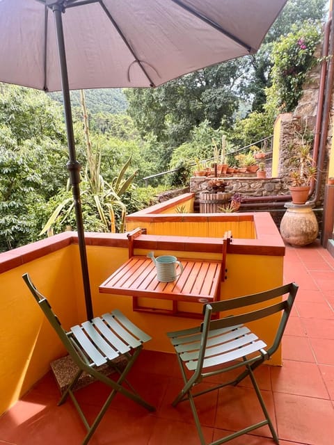 Patio, Natural landscape, View (from property/room)