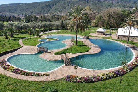 Garden, Other, Garden view, Pool view, Swimming pool, Swimming pool