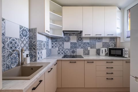 Kitchen or kitchenette, dishwasher