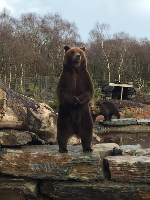 Oceanview Glamping Pod Nature lodge in County Donegal