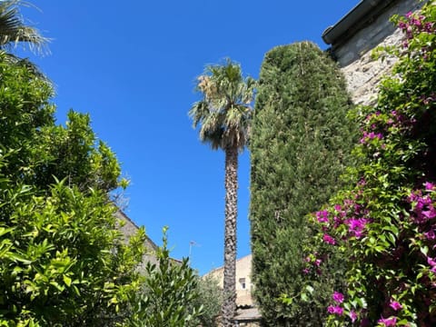 Garden, Garden