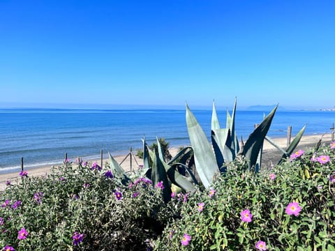 Beach, Beach