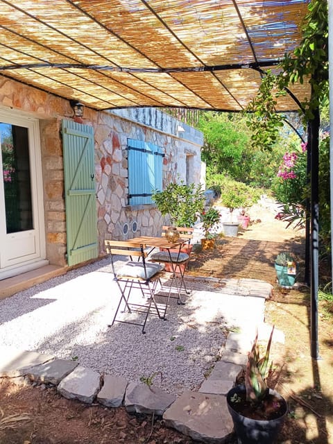 Patio, Garden