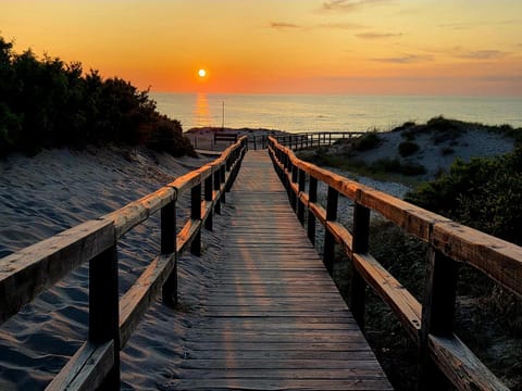 Natural landscape, Beach, Sunset