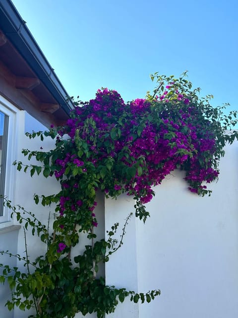 Villetta Frisulli House in Torre San Giovanni