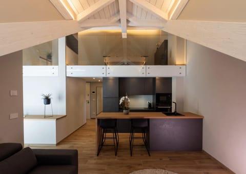 Kitchen or kitchenette, Dining area, oven, stove