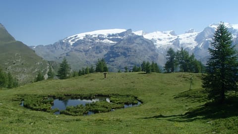 Nearby landmark, Mountain view