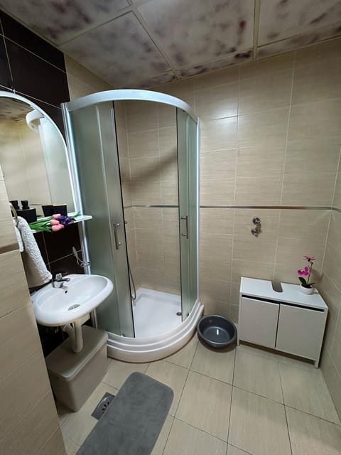 Apartman Ivana Apartment in Novi Sad