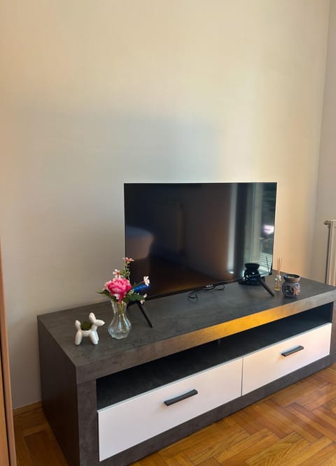Apartman Ivana Apartment in Novi Sad
