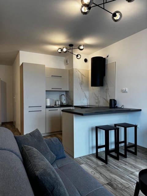 Kitchen or kitchenette, Dining area, stove