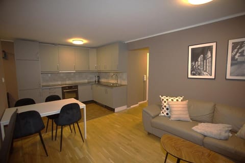 Kitchen or kitchenette, Living room, Seating area, Dining area, stove