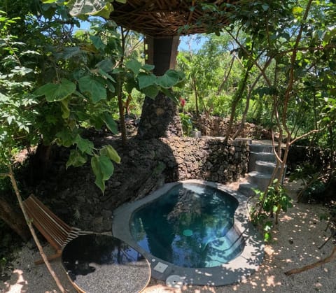 Natural landscape, Pool view, Swimming pool