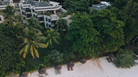 Property building, Bird's eye view