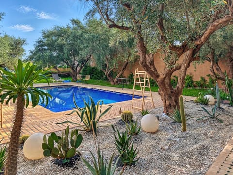 Natural landscape, Garden, Garden view, Pool view, Swimming pool, sunbed