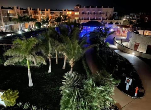 Night, Garden, Garden view, Pool view, Swimming pool