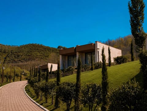 Property building, Spring, Day, Natural landscape, Garden, Garden view, Mountain view